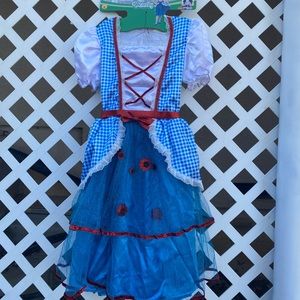 Dorothy Costume